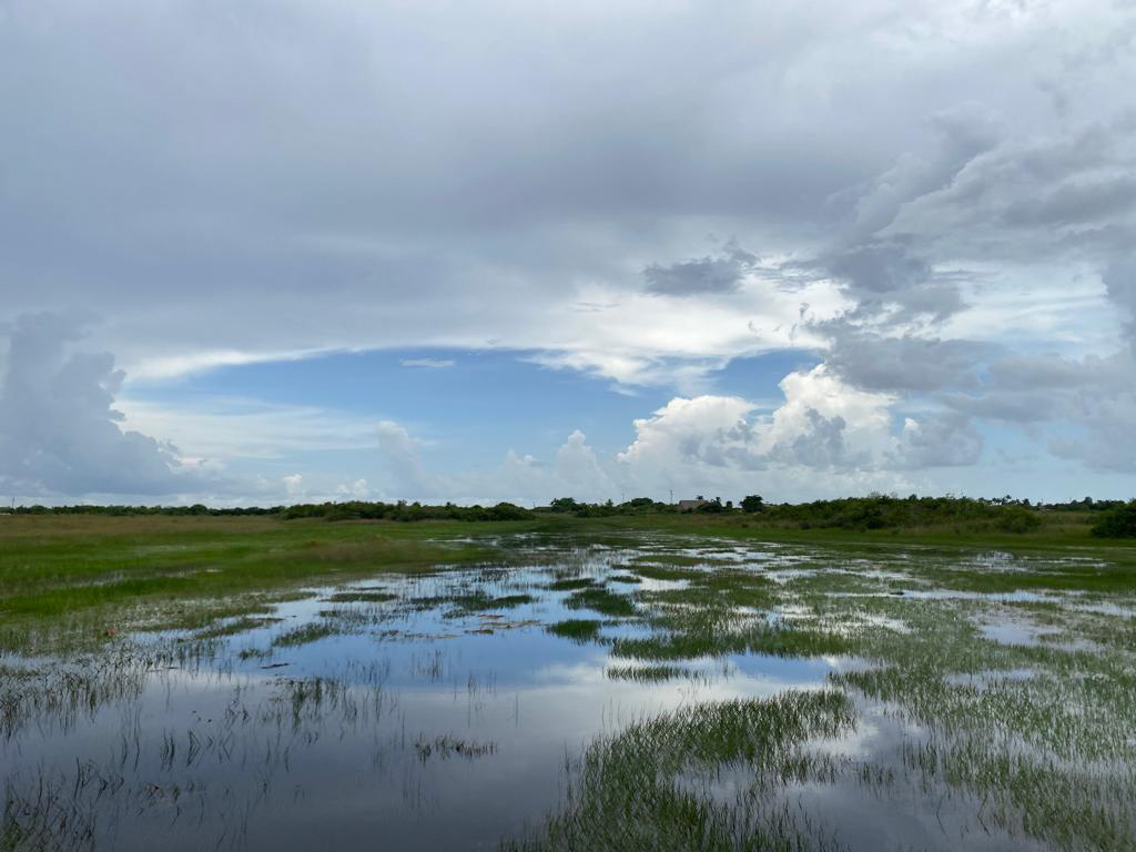 Supreme Court wetlands ruling highlights the importance of FIU #39 s Role
